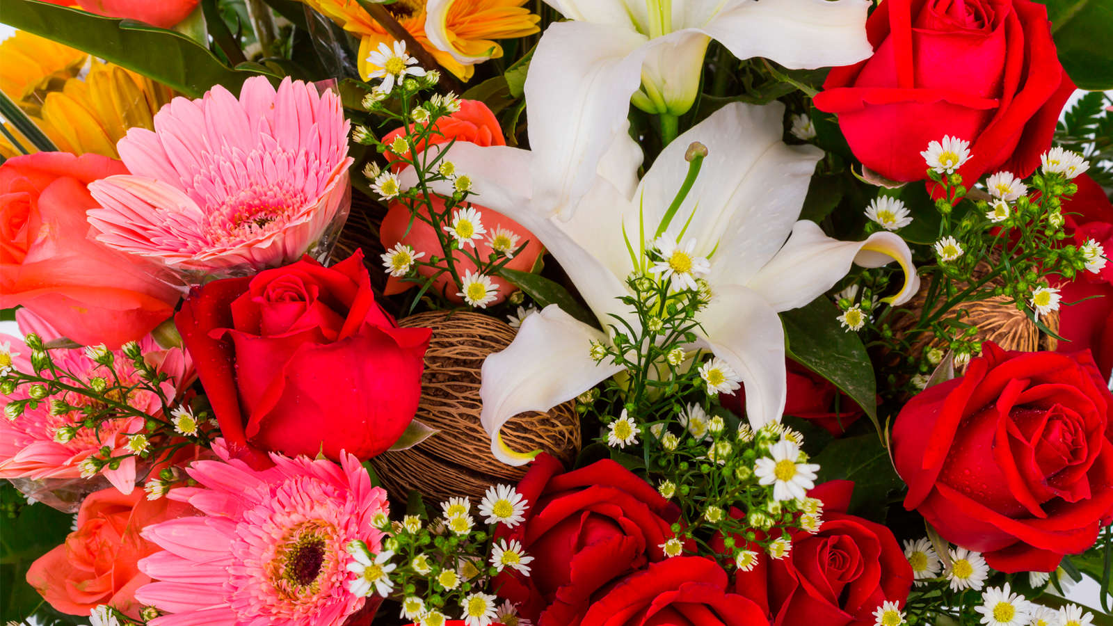 The Perfect Bloom for Every Moment A Guide to Gifting Flowers