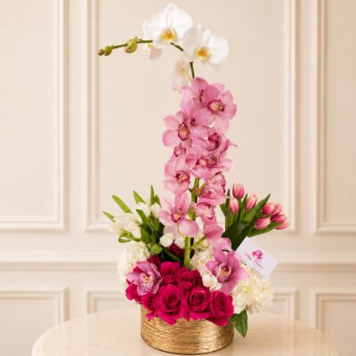 Orchid Majestic