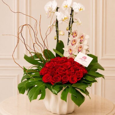 Red Orchid